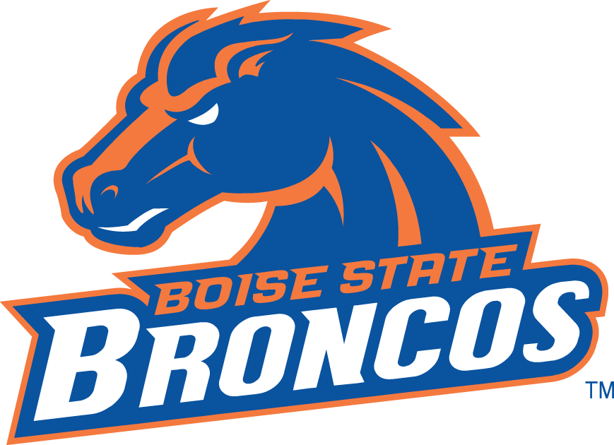 Boise State Broncos 2002-2012 Alternate Logo v2 diy iron on heat transfer